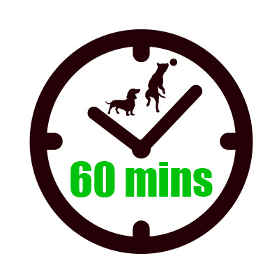 60 minute session clock icon and off your lead logo