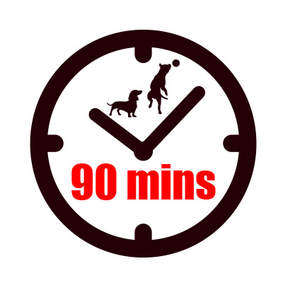 90 minute session clock icon and off your lead logo